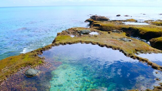 奄美大島のハートロック