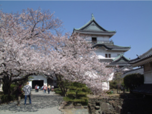 和歌山城（和歌山市公式HPより）